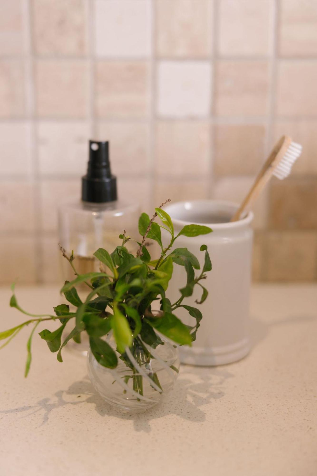 Under Oaks Guesthouse Paarl Ngoại thất bức ảnh